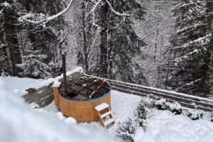 Cabana Oana Râușor, Retezat