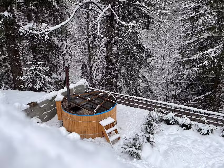 Cabana Oana Râușor, Retezat