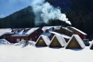 Cabana Obârşia Lotrului