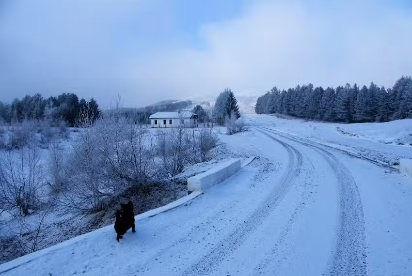 Cabana obştei Radoş-Cărpiniş