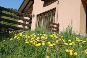 Cabana Oli – Arieseni