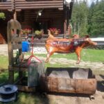 Cabana – Pensiune – Izvor de Munte (cu ciubar),Valea Mariilor, Bistrița-Năsăud