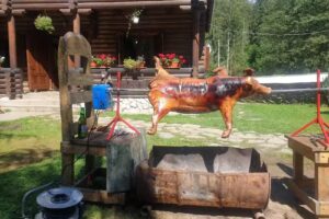 Cabana – Pensiune – Izvor de Munte (cu ciubar),Valea Mariilor, Bistrița-Năsăud