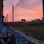 Cabana perla Transilvaniei