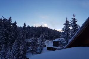 Cabana Piatra Bufniței