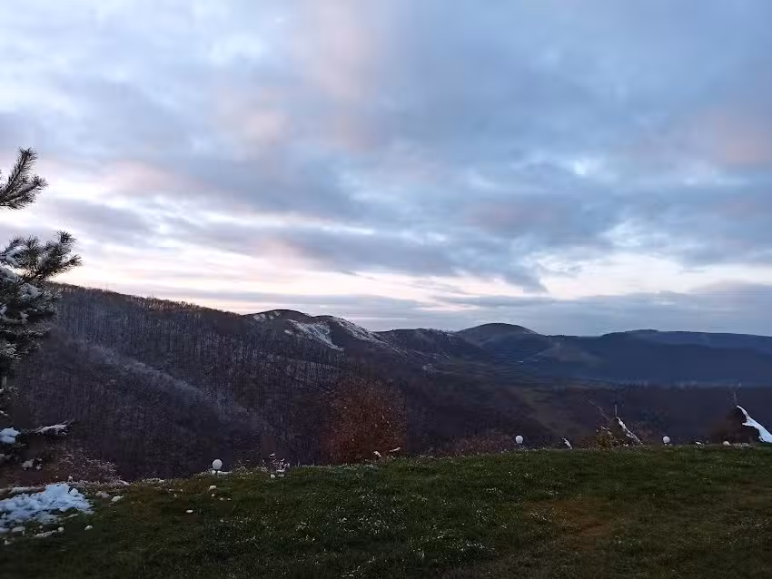 Cabana Pinul Vesel