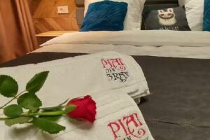 Cabana Plai-din-Bran Transilvania