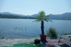 Cabana Plăpumioara Eselnita