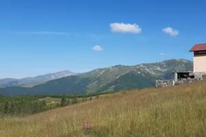 Cabana Poiana Brazilor