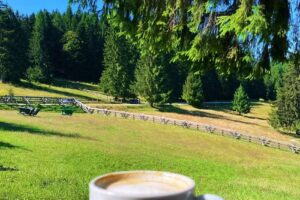 Cabana Poiana Secuilor