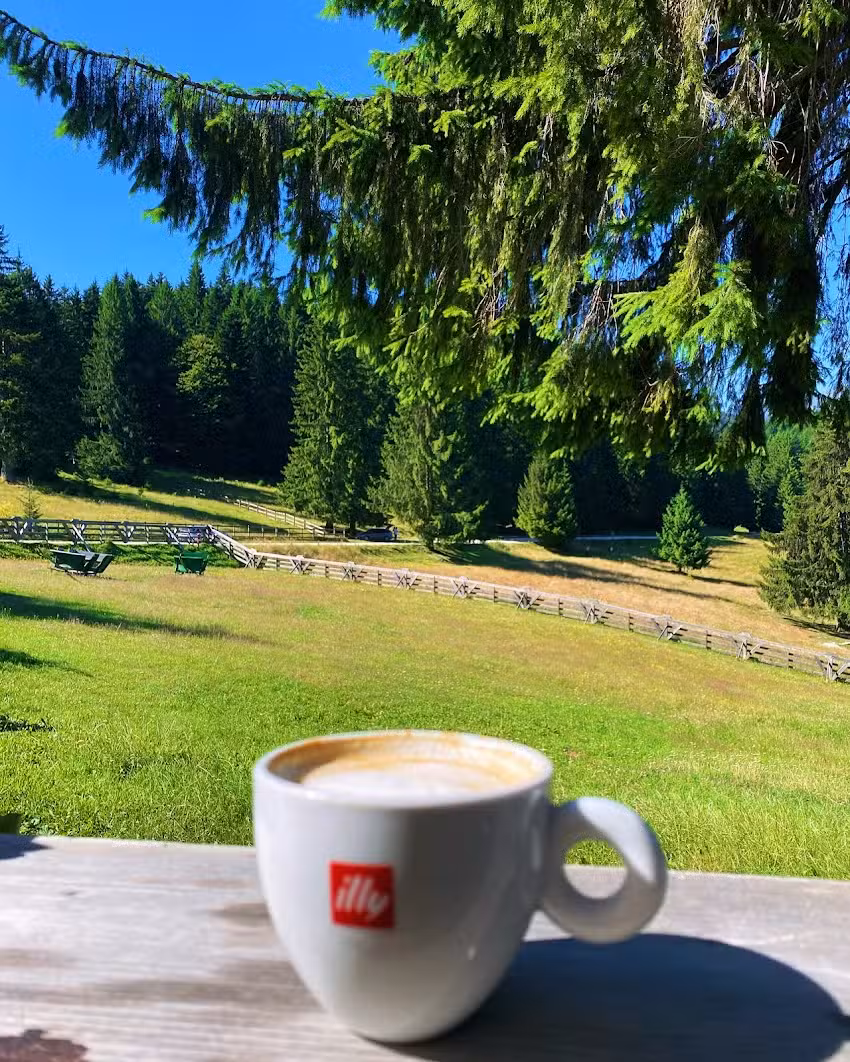 Cabana Poiana Secuilor