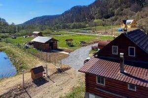 Cabana Poiana Tapului