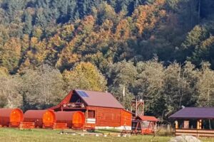 Cabana Poiana Tapului