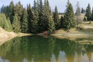 Cabana Prietenii Muntilor – Iprotim