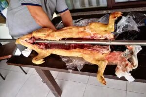 Cabana “ Roată “