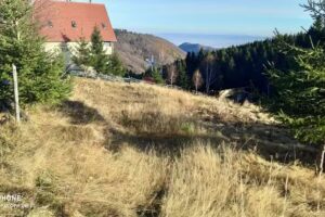 Cabana Roua Tur Paltinis