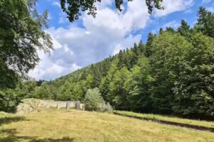 Cabana Silvica Romsilva