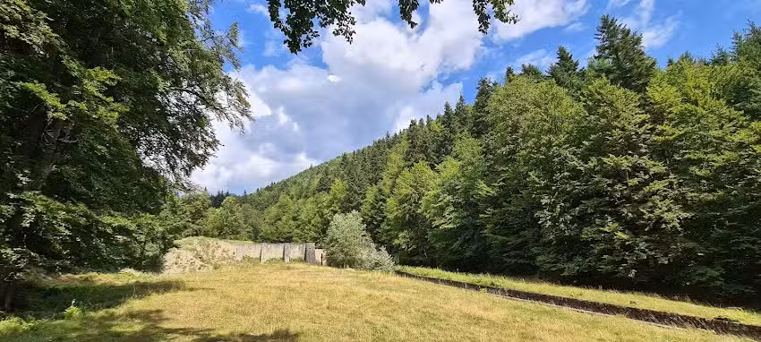 Cabana Silvica Romsilva