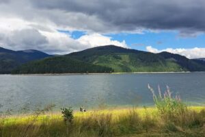 Cabana Silvica Vidruta