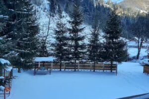 Cabana Soarelui Rucar