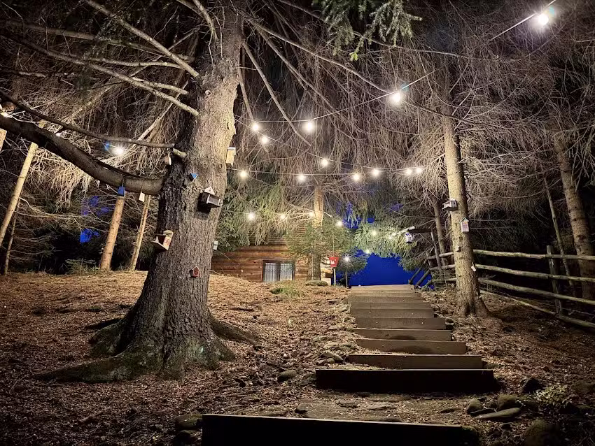 Cabana Sofia Comandau