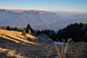 Cabana Stâna Târle