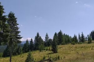 Cabana Transilvania-Bucovina