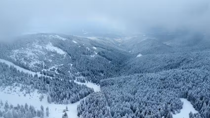 Cabana Turistică Mădăraş