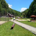 Cabana unde intoarce uliul