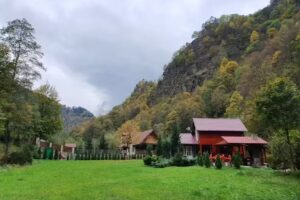 Cabana Ursul Retezat