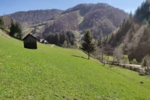 Cabana Valea Haiducilor