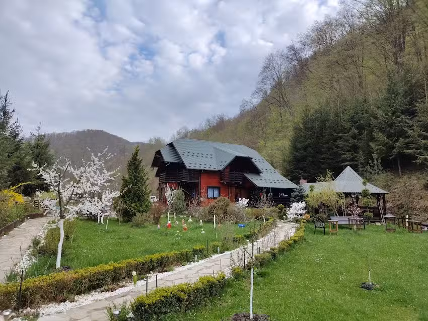 Cabana Valea lui Budin