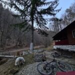 Cabana Valea Mărului