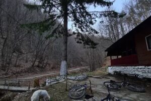 Cabana Valea Mărului