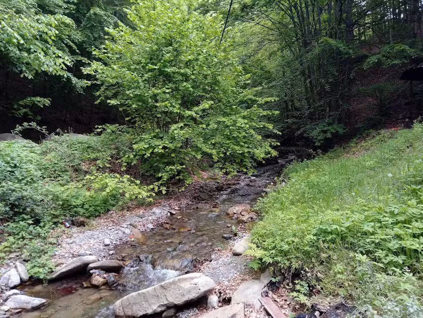 Cabana Valea Mărului