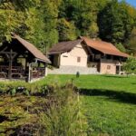 Cabana Valea Neagră 1si 2