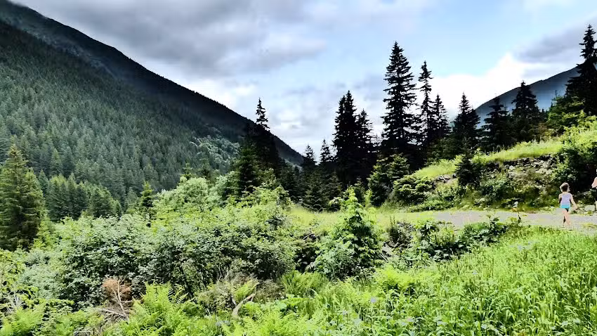 Cabana Valea Radului