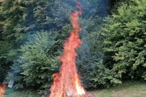 Cabana,,Valea Strigoiului”