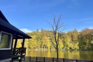 cabana vanatoare crujana