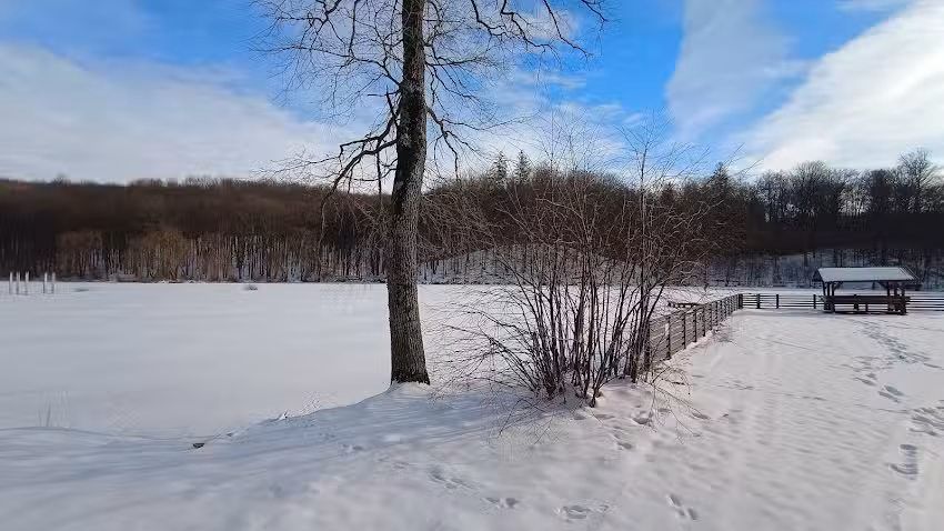 cabana vanatoare crujana