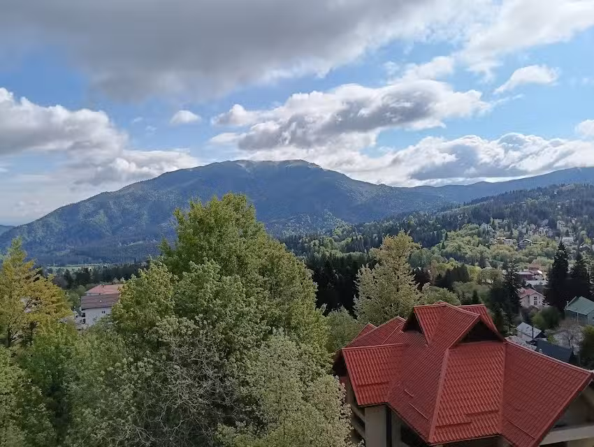 Cabana Vânătorilor