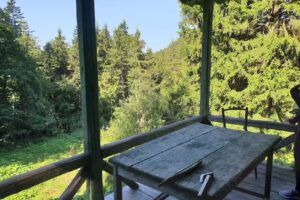 Cabana Zboina Neagră