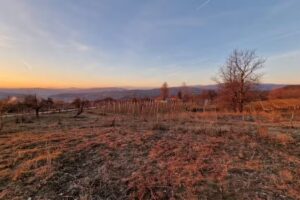 Cabanele A Frame Sunset Retreat