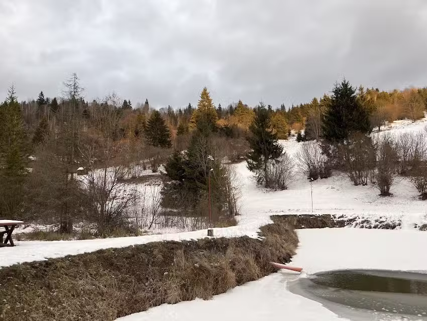 Cabanele Valea Bradului