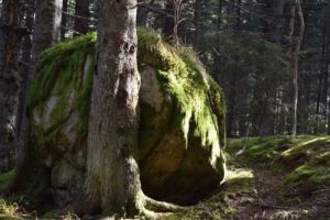 Cabanuca din Nucsoara