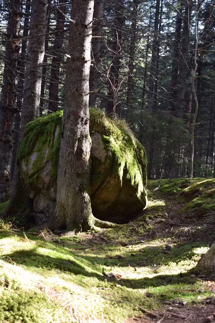 Cabanuca din Nucsoara