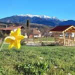 Căbănuța „Căsuța din poveşti”