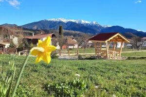 Căbănuța „Căsuța din poveşti”