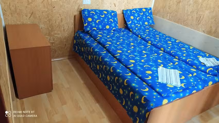 Căbănuțe Daniela