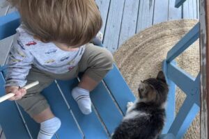 Camere de închiriat Maria